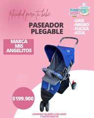 Coche paseador